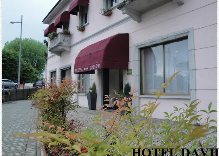 Hotel David Sesto Calende photo